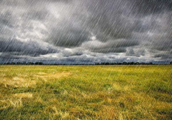 Heavy Rain over a prairie in Brittany, France