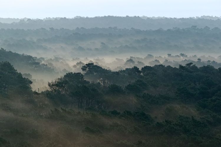 RÉGÉNÉRATION – Domolandes ouvre le débat vers de nouvelles perspectives