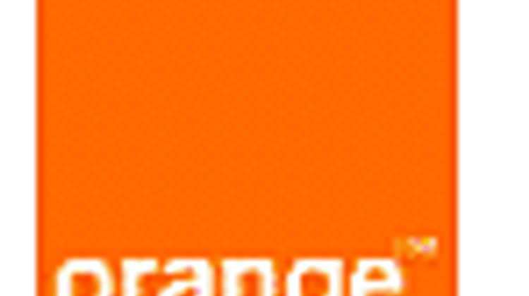 PL orange