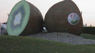 LANDES rond point