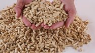 PL granules bois