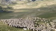 BEARN PACagricole