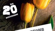 LANDES affiche-tulipe