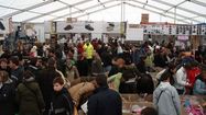 PL braderie hossegor