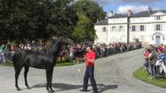 BEARN harasgelos