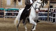 PL foire cheval cavalier