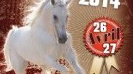 PL foire cheval
