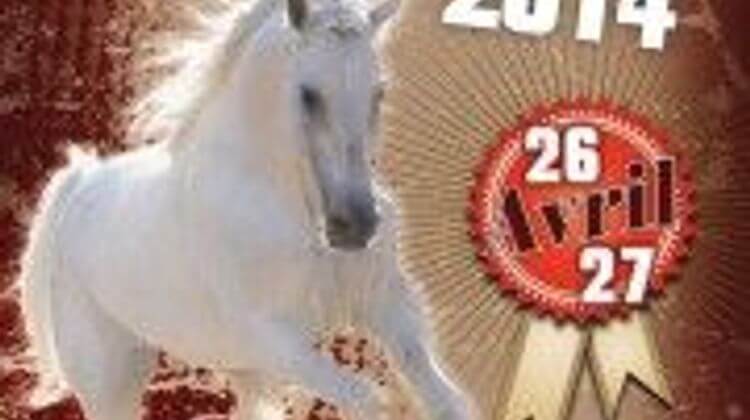 PL foire cheval