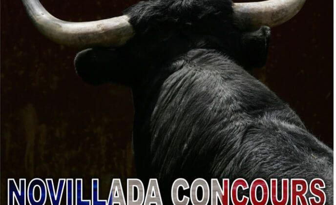 LANDES Novillada AIRE