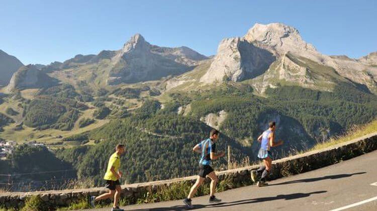BEARN Challenge ossau