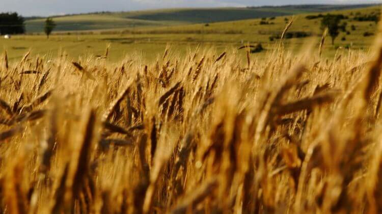 cc by-nc-nd Bruno Monginoux www.photo-paysage.com & www.landscape-photo.net