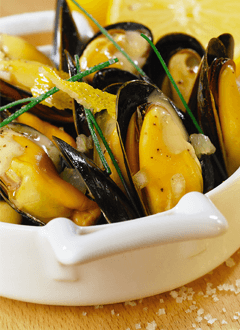 PL moules1