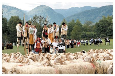 fetebergersaramits1