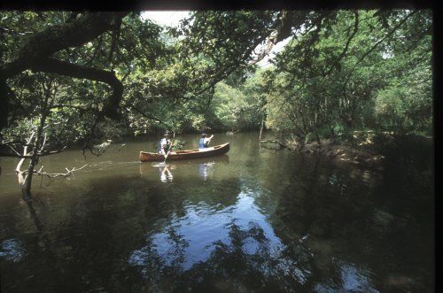 parc naturel landes 2