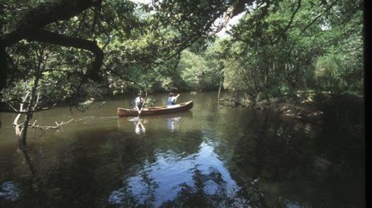 parc naturel landes 2