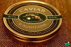 PL caviar3