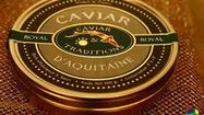 PL caviar3