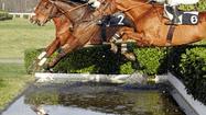 CHEVAL 2