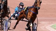 timoko1