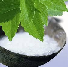 stevia4