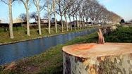 CANAL MIDI 4