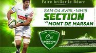 RUGBY SECTION
