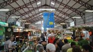 halle4