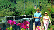 PAU JARDINS 4