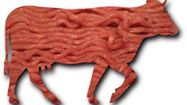 PL boeuflover2