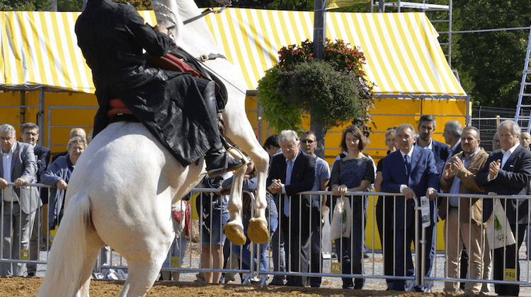 FOIRE CHEVAL ZARKAM