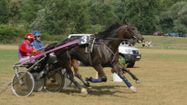 hippodrome1