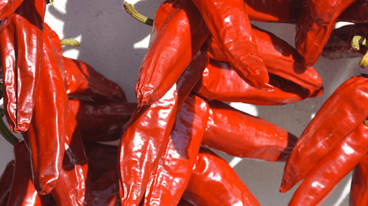 PIMENT ESPELETTE