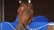 timoko23