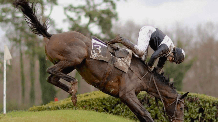 cross hippodrome 2