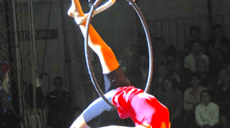 ACROFOLIES 3