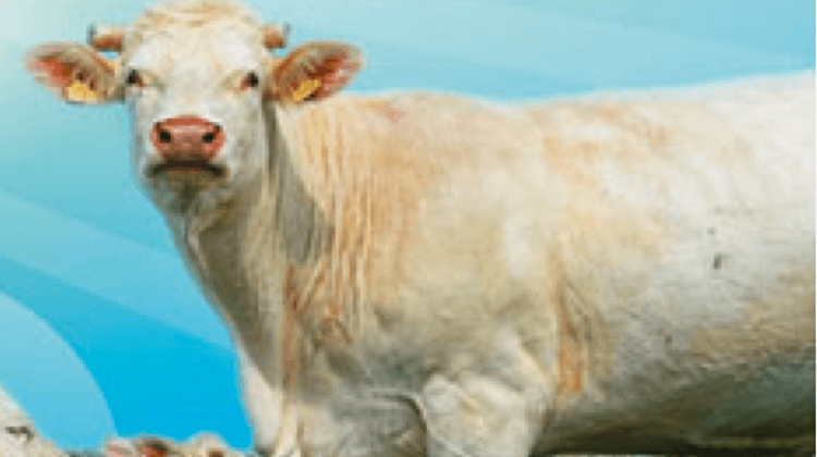 SALON AGRI
