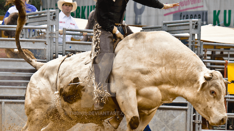 Bullriding