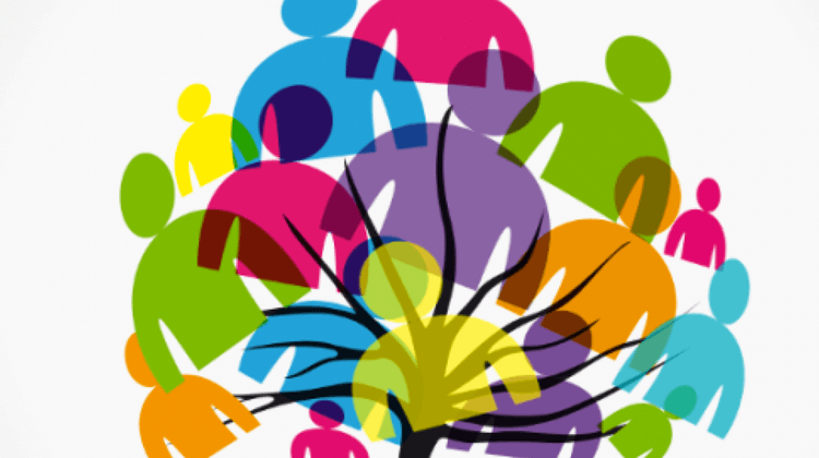 rebonds entreprise 1