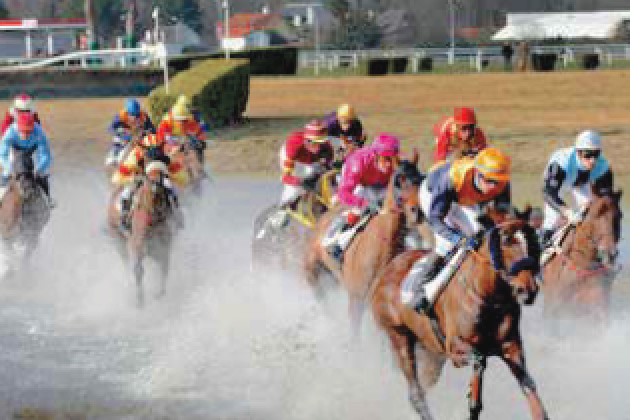 HIPPODROME PAU