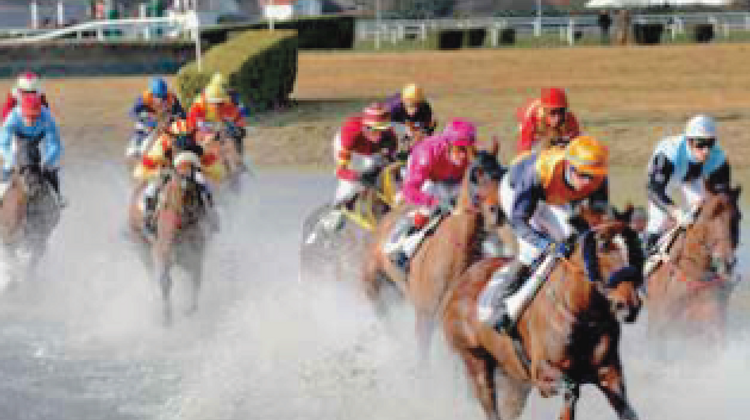 HIPPODROME PAU