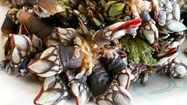 OPERNE 2