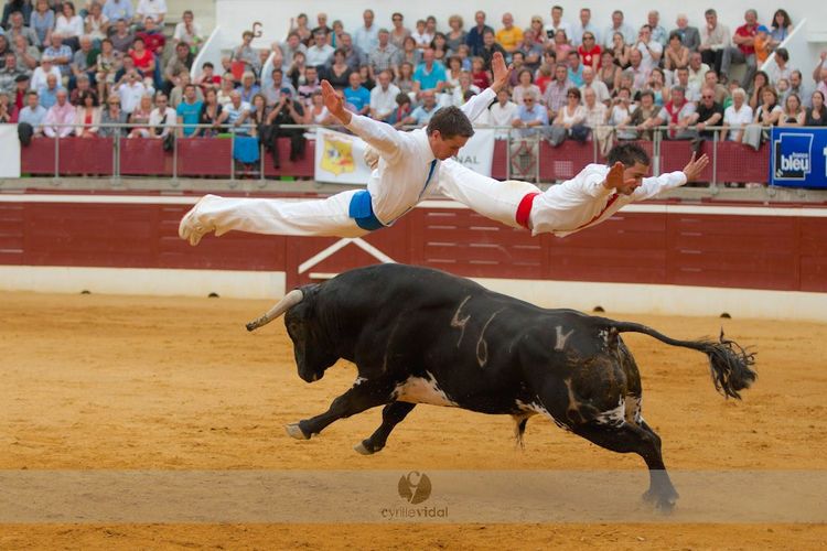 COUP DE COEUR - Championnat de France de course landaise à Mont-de-Marsan