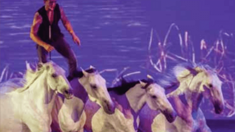 EQUESTRIA 5