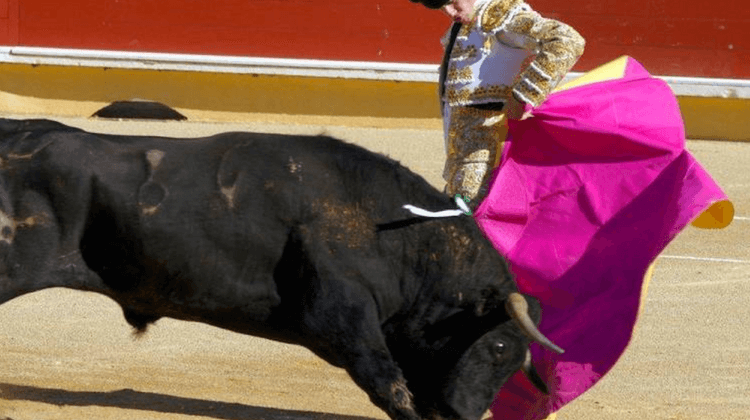 CORRIDAS BAYONNE 2