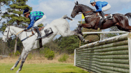 cross hippodrome