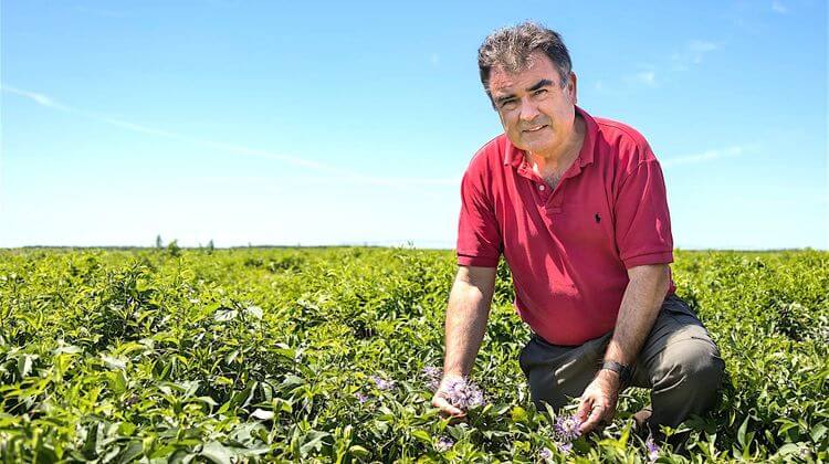 nicolas plante médicinale