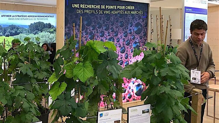 AGRI SUD OUEST INNOVATION 2