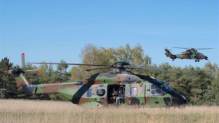 CAIMAN 1