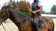 CHEVAL ARC 4
