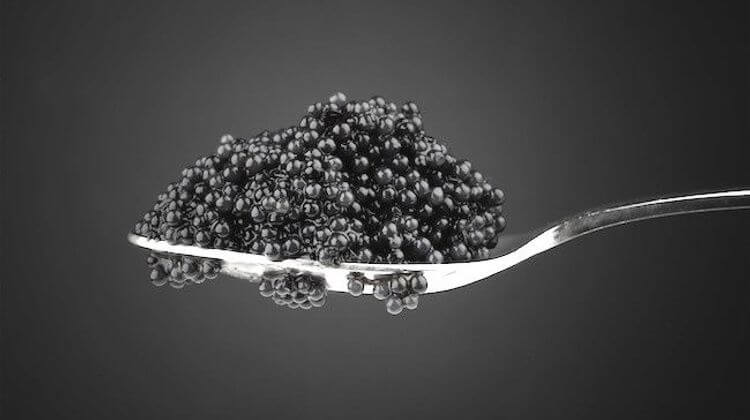 Black caviar in metal teaspoon. Macro photo on dark background